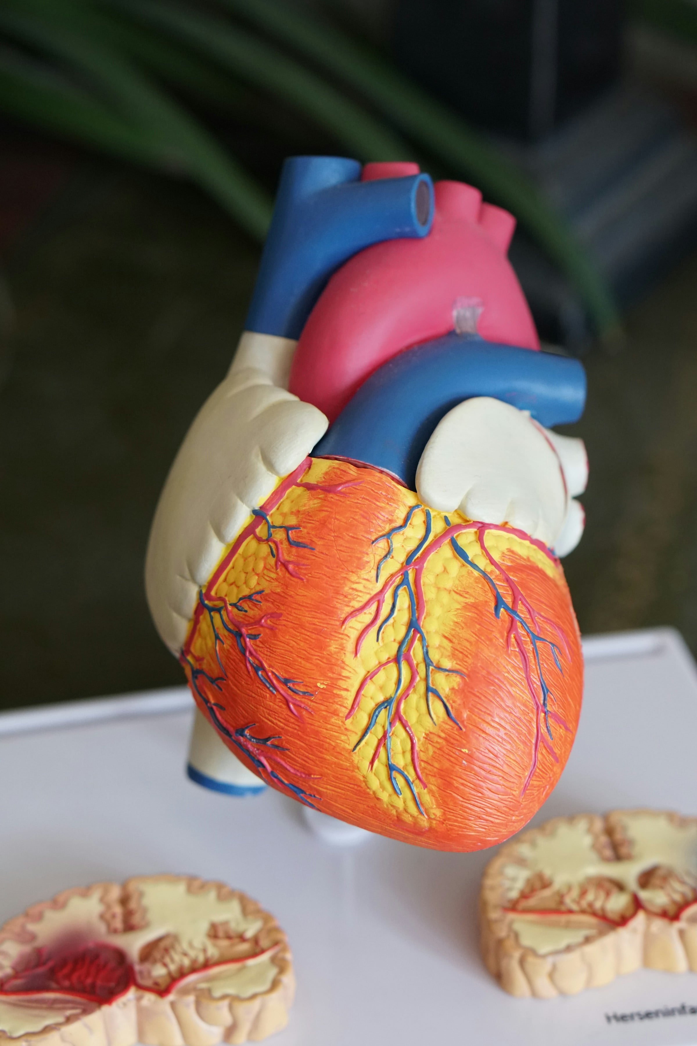 Structură moleculară ADN, medicină personalizată